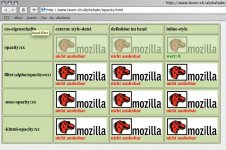 safari.jpg