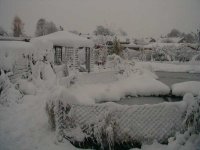 w2.jpg