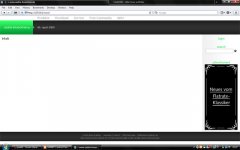 safari.jpg