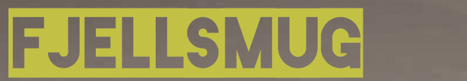 fs.png