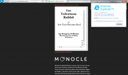 monocle-demo_IE.png