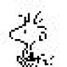 BigMage