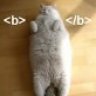 Felidae